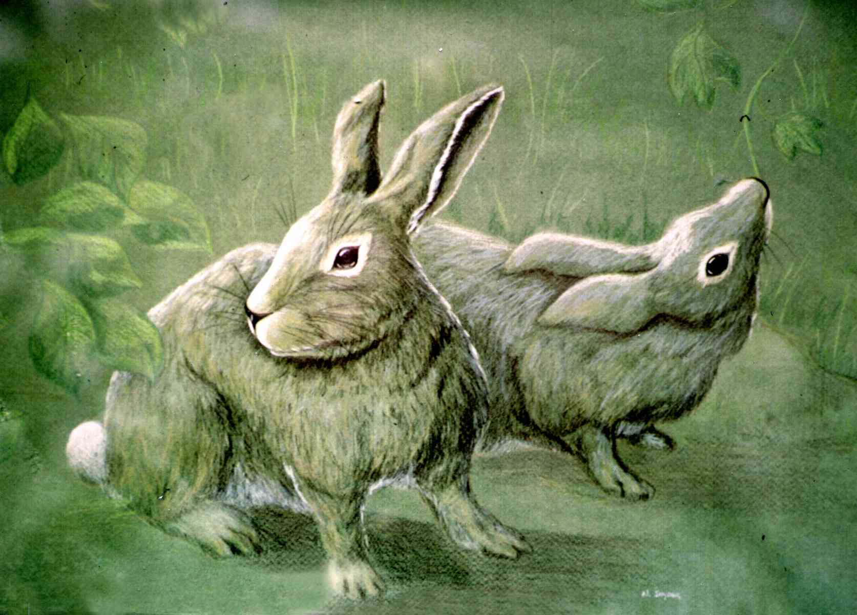 Жемчужный кролик арт